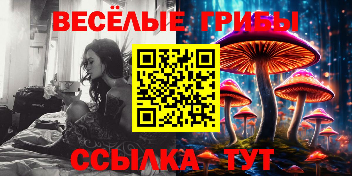 Галлюциногенные грибы Cubensis Унеча