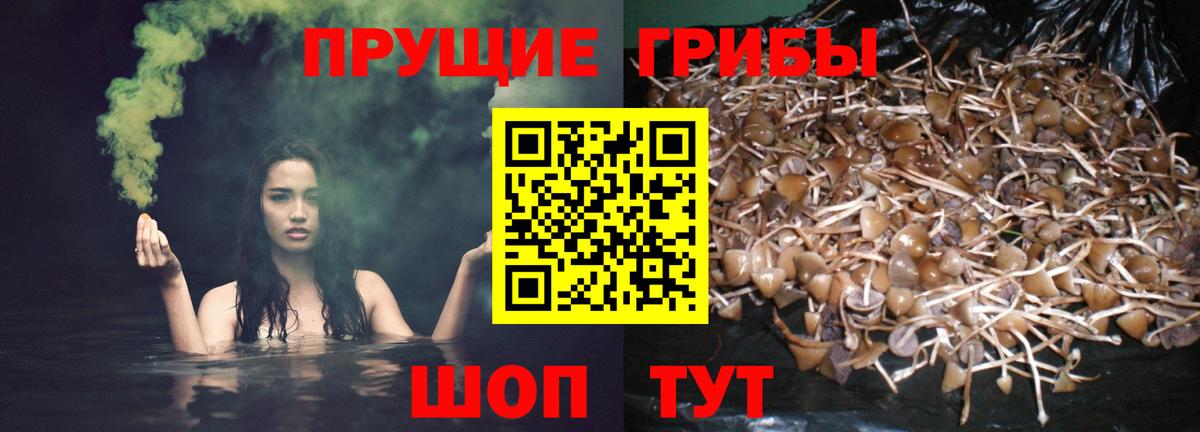 Псилоцибиновые грибы Magic Shrooms  Галлюциногенные грибы Psilocybe  Унеча  Вход с VPN 